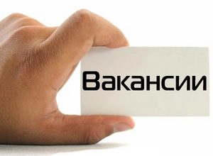 Предлагаем работу!