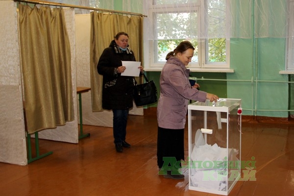 Выборы – 2015 в Осиповичах
