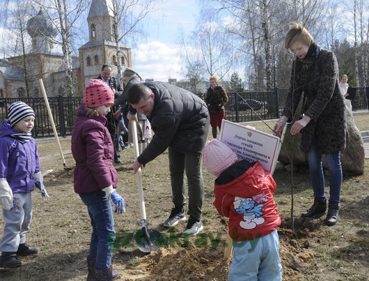 Осиповчане в числе первых в области поучаствовали в проекте “Парк семейных деревьев”