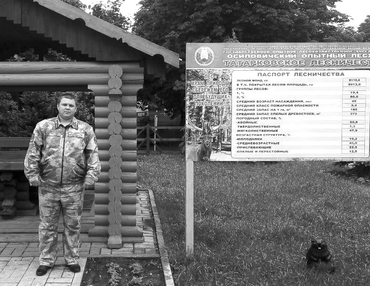 Татарковский рывок