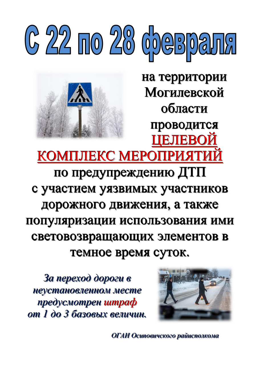 С 22 по 28 февраля в Осиповичском районе пройдет целевой комплекс мероприятий по предупреждению ДТП