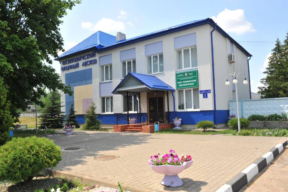 Осиповичский опытный лесхоз стал одним из лидеров заготовки березового сока в стране
