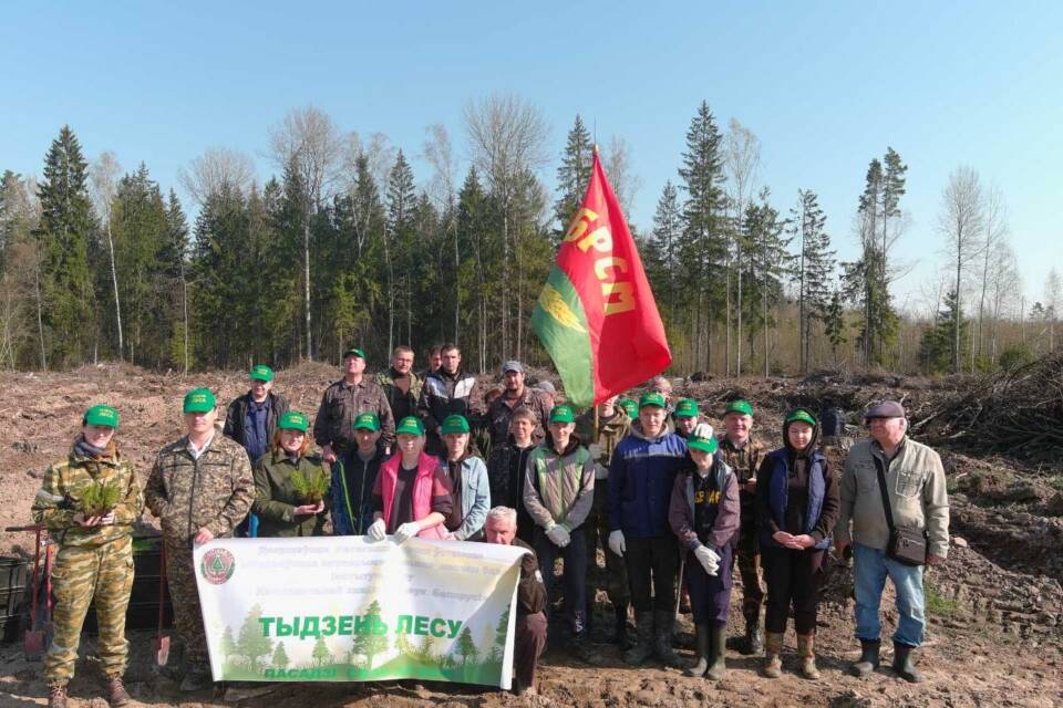 Па звестках СМІ, сёлетняя рэспубліканская дабрачынная акцыя “Тыдзень лесу” ў цэлым у краіне атрымалася рэкорднай: у ёй прынялі ўдзел 75 тысяч беларусаў