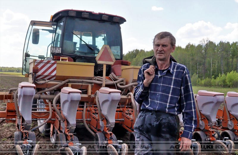 На пачатак тыдня ў раёне было засеяна 2 685,3 гектара зерневымі і зернебабовымі культурамі, 6 713 га — кукурузай на зерне і сілас, 365 га занялі аднагадовыя травы і 604 — шматгадовыя
