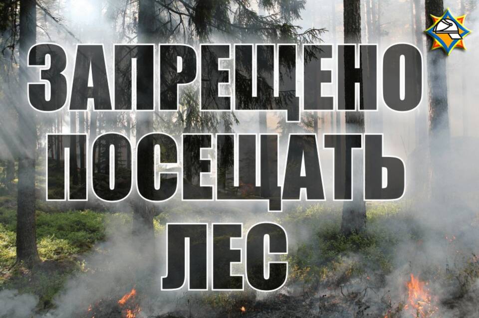 Забарона на наведванне лясоў.Як паведамілі ў лясгасе і райаддзеле па надзвычайных сітуацыях, у Асіповіцкім раёне дзейнічае забарона на наведванне лясоў