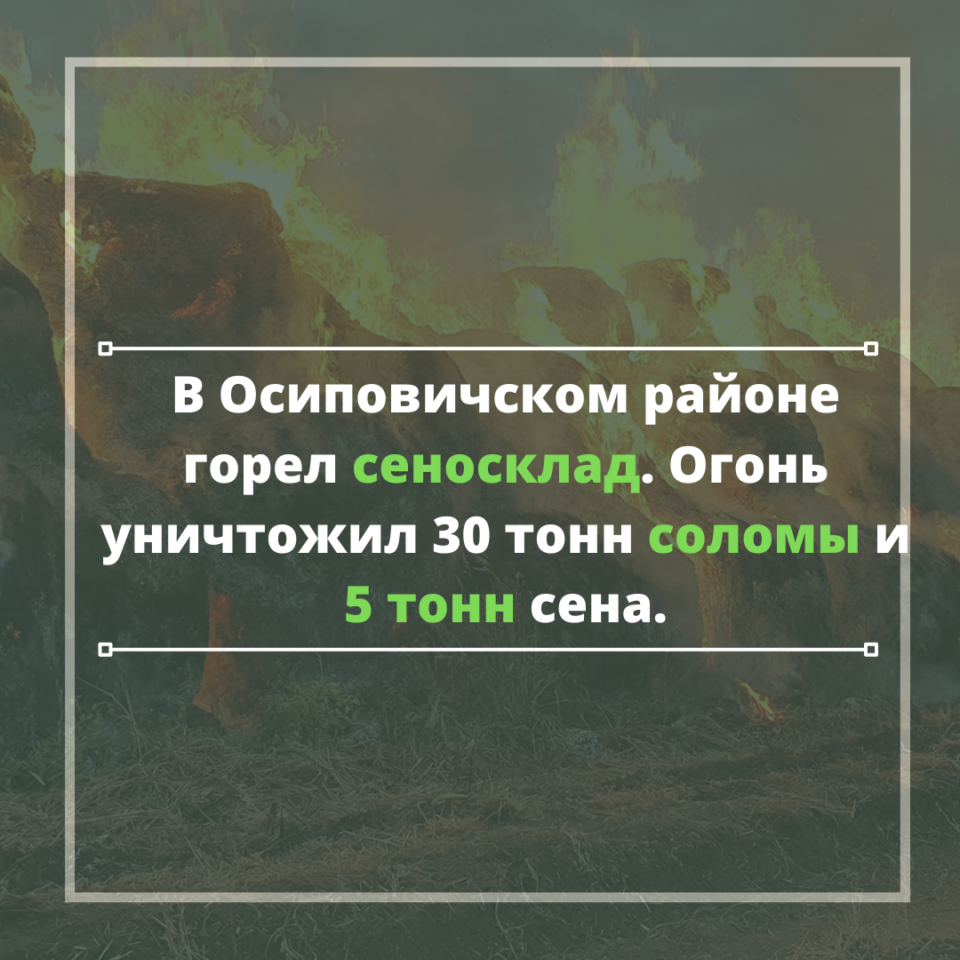В Осиповичском районе горел сеносклад. Огонь уничтожил 30 тонн соломы и 5 тонн сена