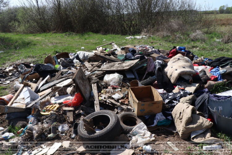 Свалки и безобразие: Как бороться с несанкционированным размещением отходов в Осиповичах