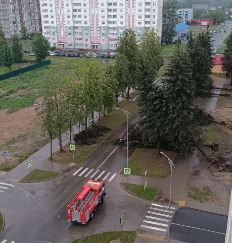Разгулявшаяся непогода натворила ночью неприятных дел в микрорайоне улицы Черняховского райцентра: стихия вывернула с корнями восемь елей, которые росли рядом с военной казармой.
