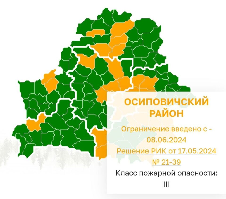 В Осиповичском районе введено ограничение на посещение лесов