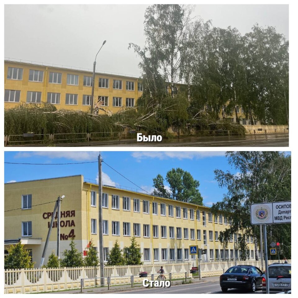 По предварительным подсчетам работников Осиповичского УКП ЖКХ, в результате стихии, произошедшей 14 июля, в городе уничтожено около 500 деревьев