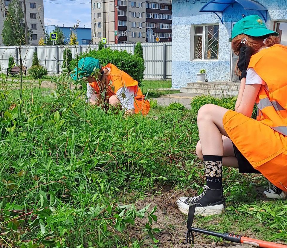 Студотрядовское движение в разгаре