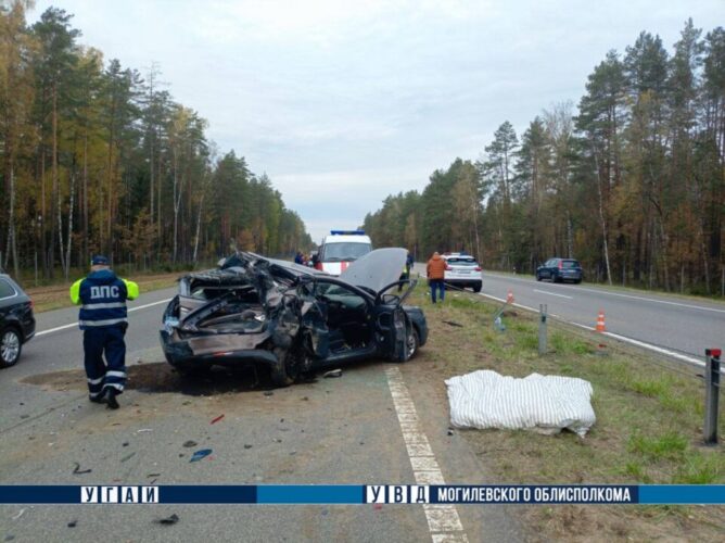 Осиповичском районе в ДТП погибла женщина. Возбуждено уголовное дело
