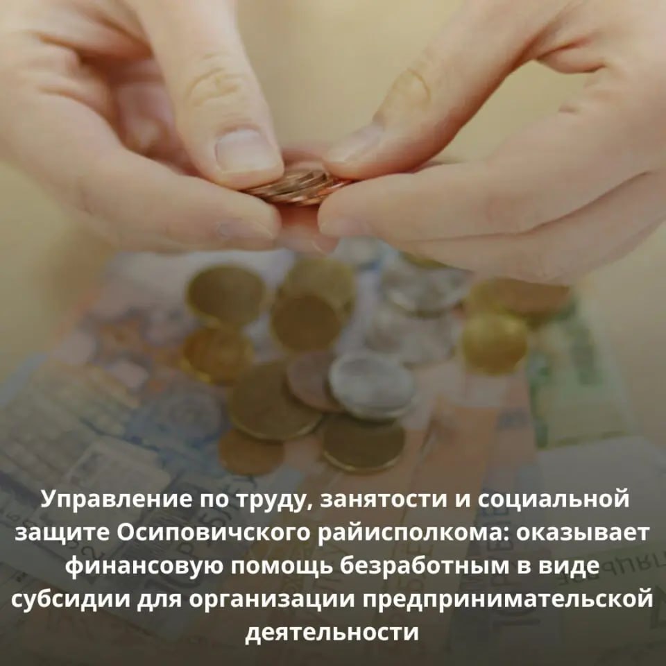 Управление по труду, занятости и социальной защите Осиповичского райисполкома: оказывает финансовую помощь безработным в виде субсидии для организации предпринимательской деятельности