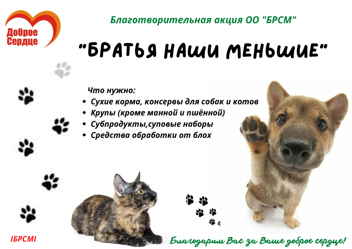 Осиповичский районный комитет ОО “БРСМ” запускает акцию “Братья наши меньшие”!