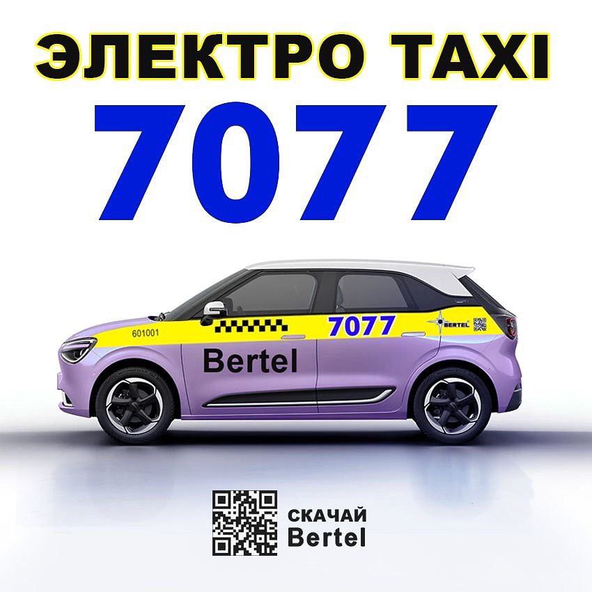 Электроавтобили такси Bertel скоро появятся в Осиповичах