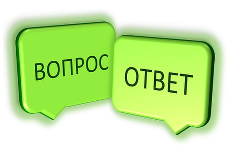 Как утилизировать растительные отходы?