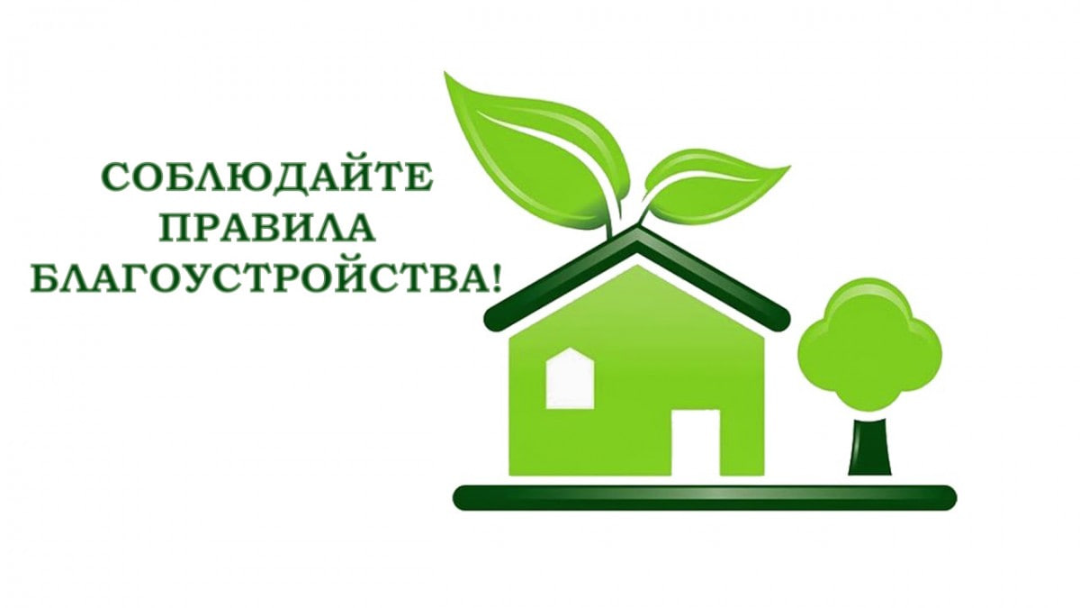 Начальник отдела жилищно-коммунального хозяйства Осиповичского райисполкома Надежда Подлипская рассказывает про изменения в правилах благоустройства и содержания населенных пунктов