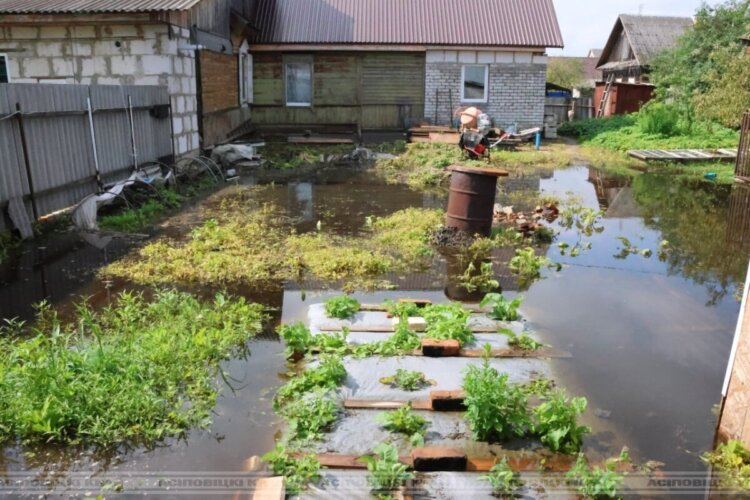 В Осиповичском районе устраняют последствия непогоды. 10 июля 2025