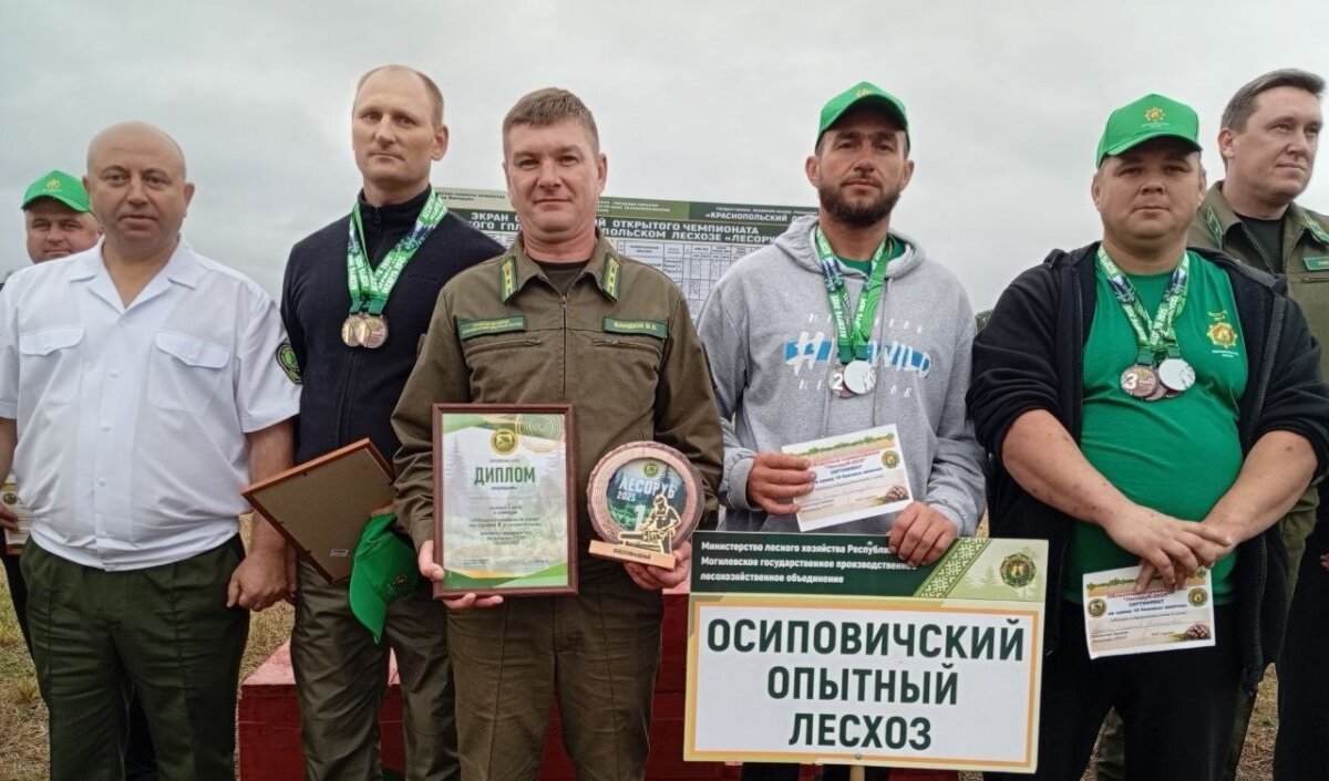 Вальщики Осиповичского района – лучшие!