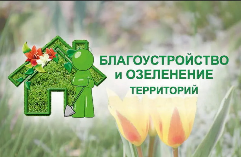 В Осиповичском районе проводится смотр-конкурс на лучшее благоустройство и озеленение территорий
