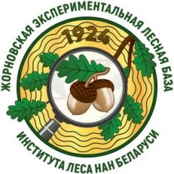 Жорновская ЭЛБ: больше чем лесовосстановление.