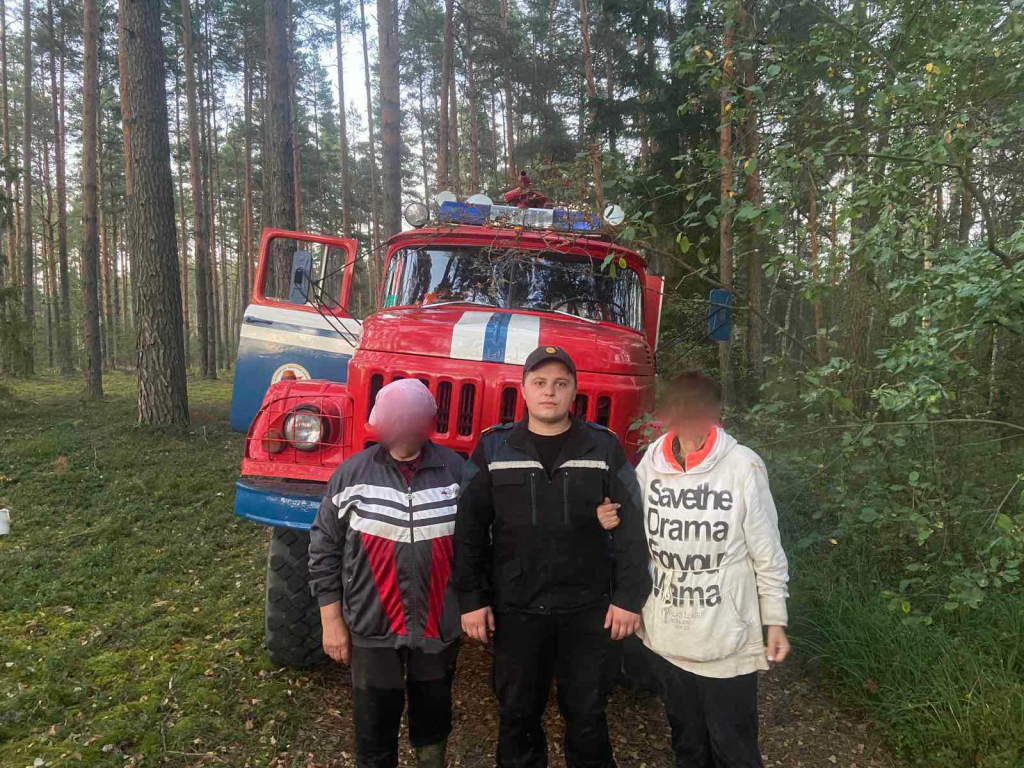 В Осиповичском районе в лесу заблудилась пенсионерка: ее обнаружили спасатели