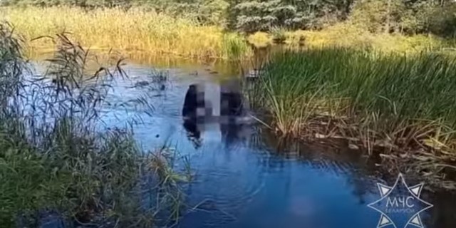 Смотреть видео: 6 сентября возле деревни Концы Осиповичского района во время подводной рыбалки утонул человек