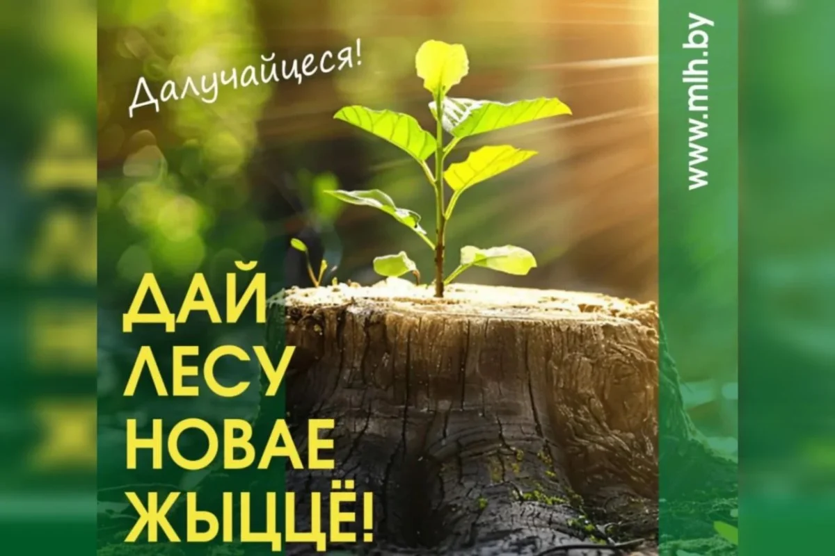 Акцыя “Дай лесу новае жыццё!”