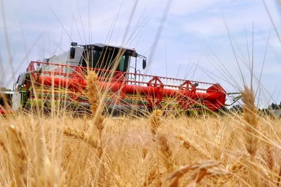 Итоги районного соревнования за достижение высоких показателей на уборке урожая зерновых и зернобобовых растений
