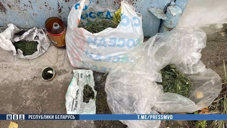 43-летний житель Осиповичей распространял среди знакомых марихуану. Мужчину задержали с поличным