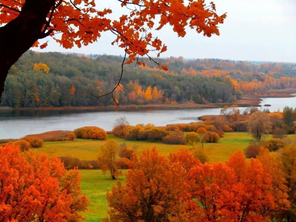 Оставаться на страже охраны природы стало удобнее