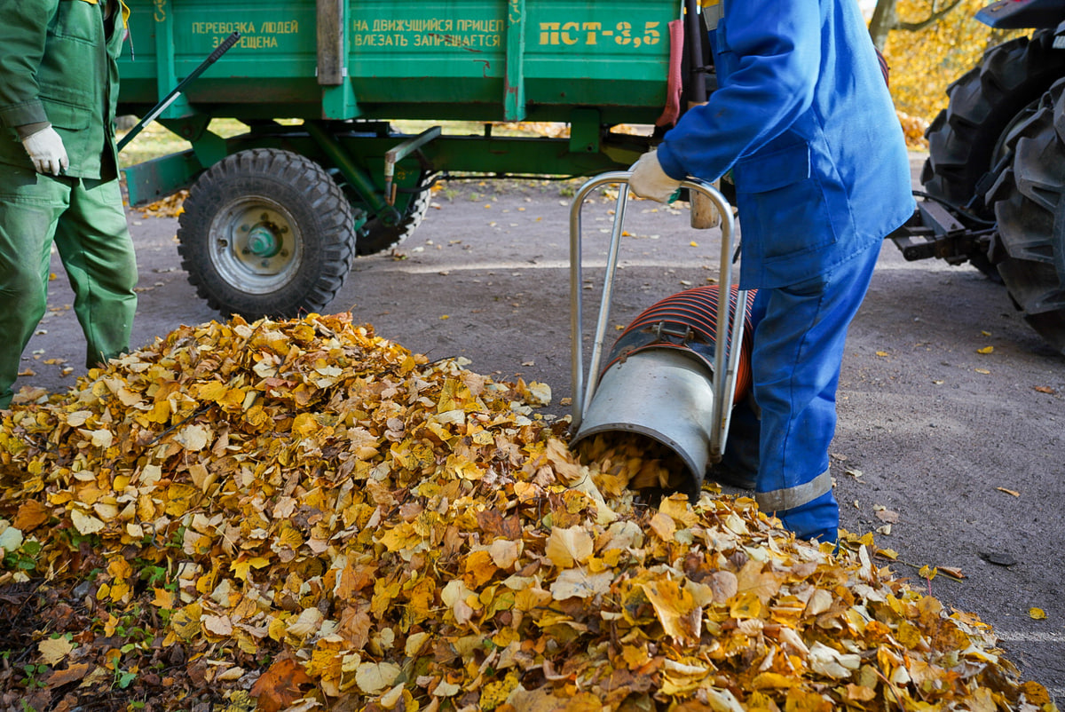 В период с 29 по 31 октября специализированным автотранспортом Осиповичского УКП ЖКХ будет осуществляться вывоз отходов растительного происхождения с территории частного сектора в Осиповичах