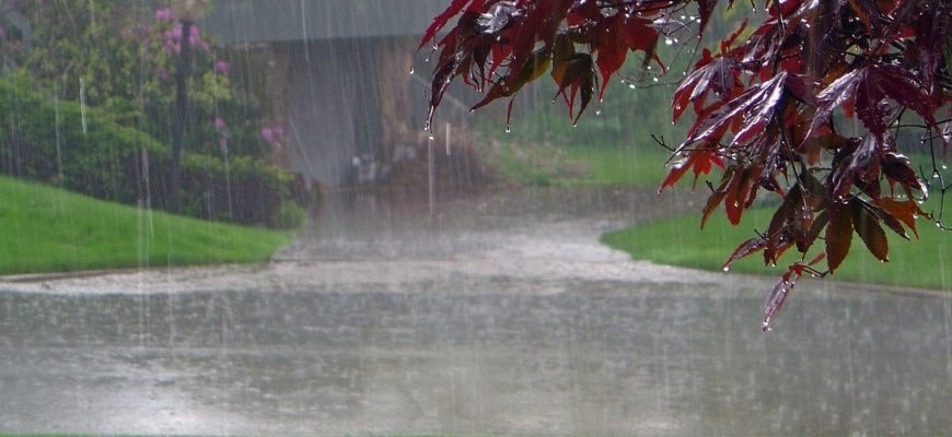 Погода в Беларуси на неделю: дожди, туманы и потепление до +12°С