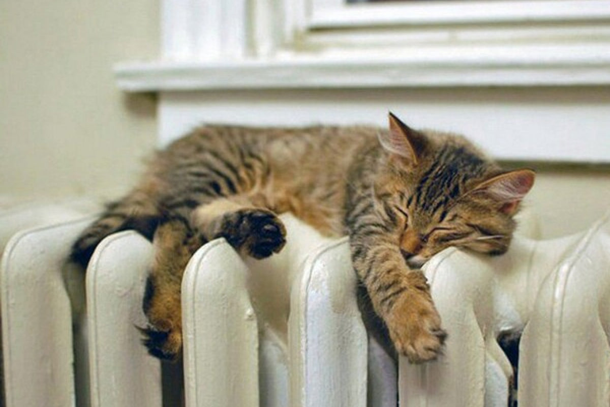 «Готовы к минус 30»: как городские теплосети в Осиповичах работают в режиме крепких морозов