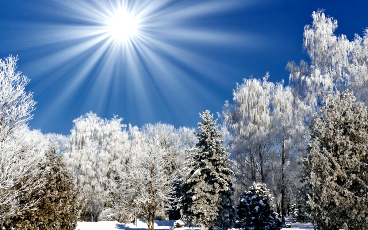 «Морозная эстафета»: в Осиповичском районе февраль начнется с аномальных холодов