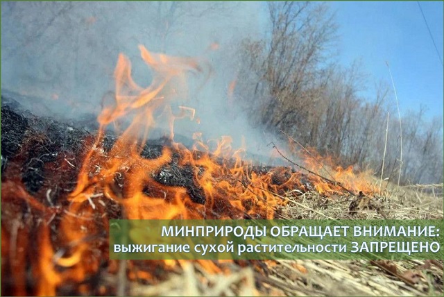 Ответственность за выжигание сухой растительности