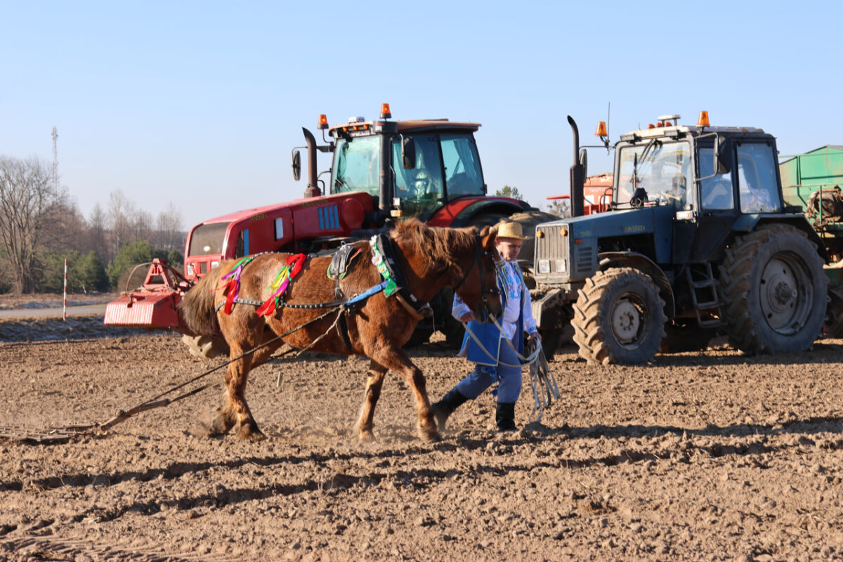 У ААТ “ВязаўніцаАгра” прайшло раённае свята “Засеўкі”