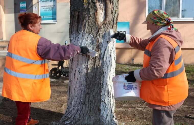 Тыдзень добраўпарадкавання праходзіць на Асіповіччыне