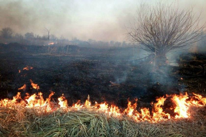 В Осиповичском районе открыта статистика по загораниям сухой растительности