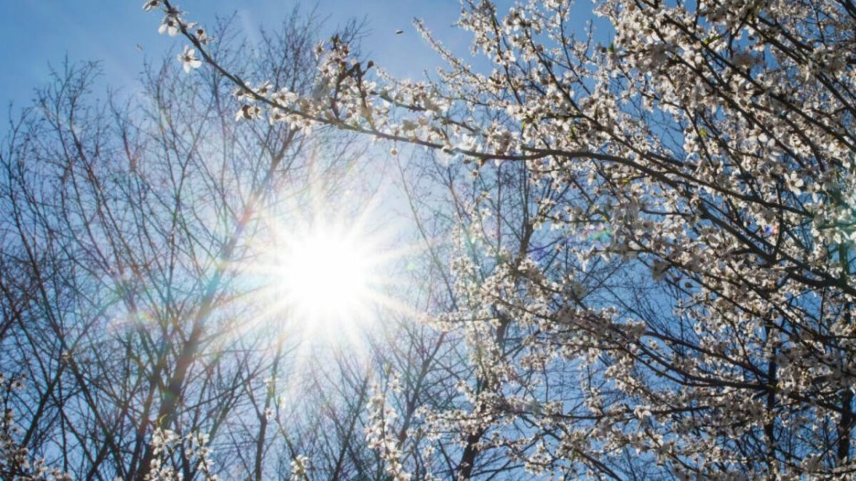 Погода на неделю: первые весенние грозы и похолодание к выходным