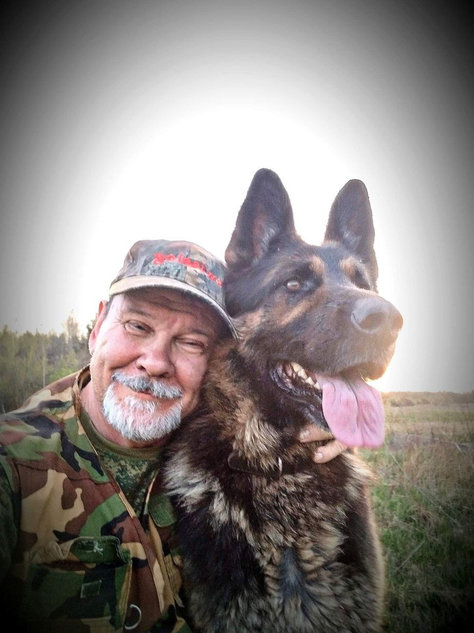 Всё о регистрации, налогах и правилах содержания собак в Беларуси