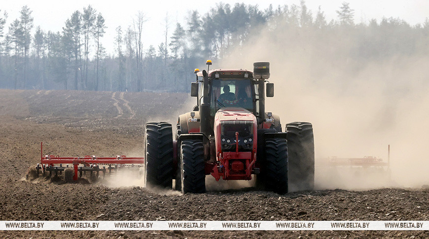 Региональное развитие, сырьевые зоны и посевная. Лукашенко заслушал доклад по Могилевской области