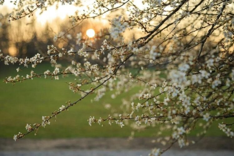 Апрель готовит очередную «встряску»: прогноз синоптика на конец недели и выходные