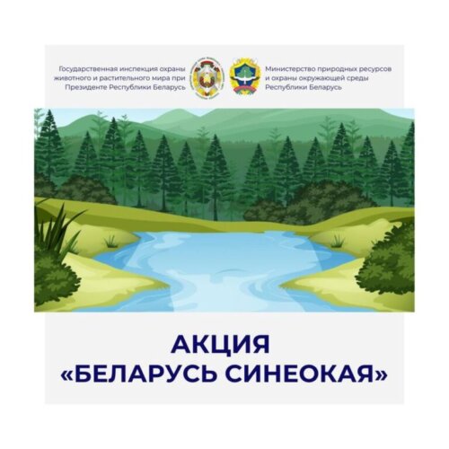 Почти тонну мусора собрали на берегу Осиповичского водохранилища в рамках акции «Беларусь синеокая»