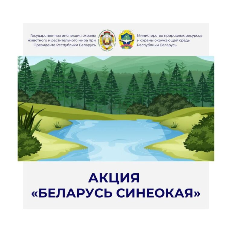 Почти тонну мусора собрали на берегу Осиповичского водохранилища в рамках акции «Беларусь синеокая»