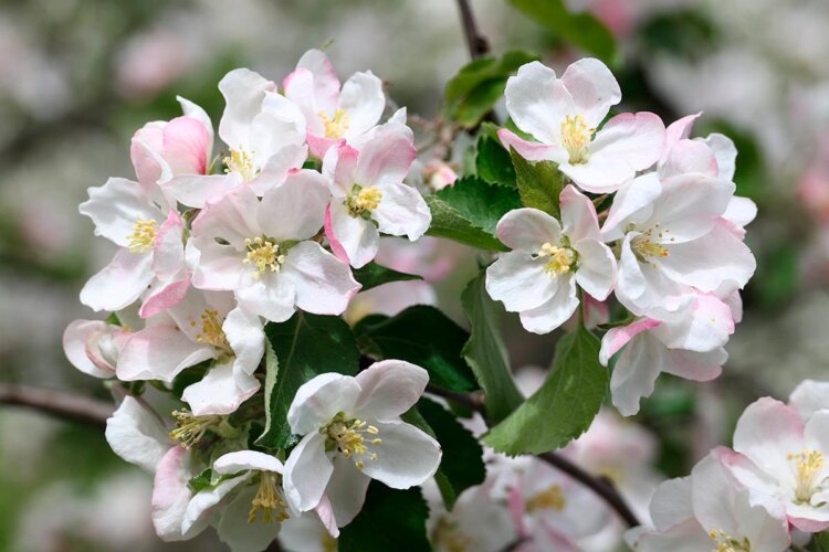 Что изменится с 1 мая: прожиточный минимум, детские пособия, выплаты ветеранам и пособие на погребение