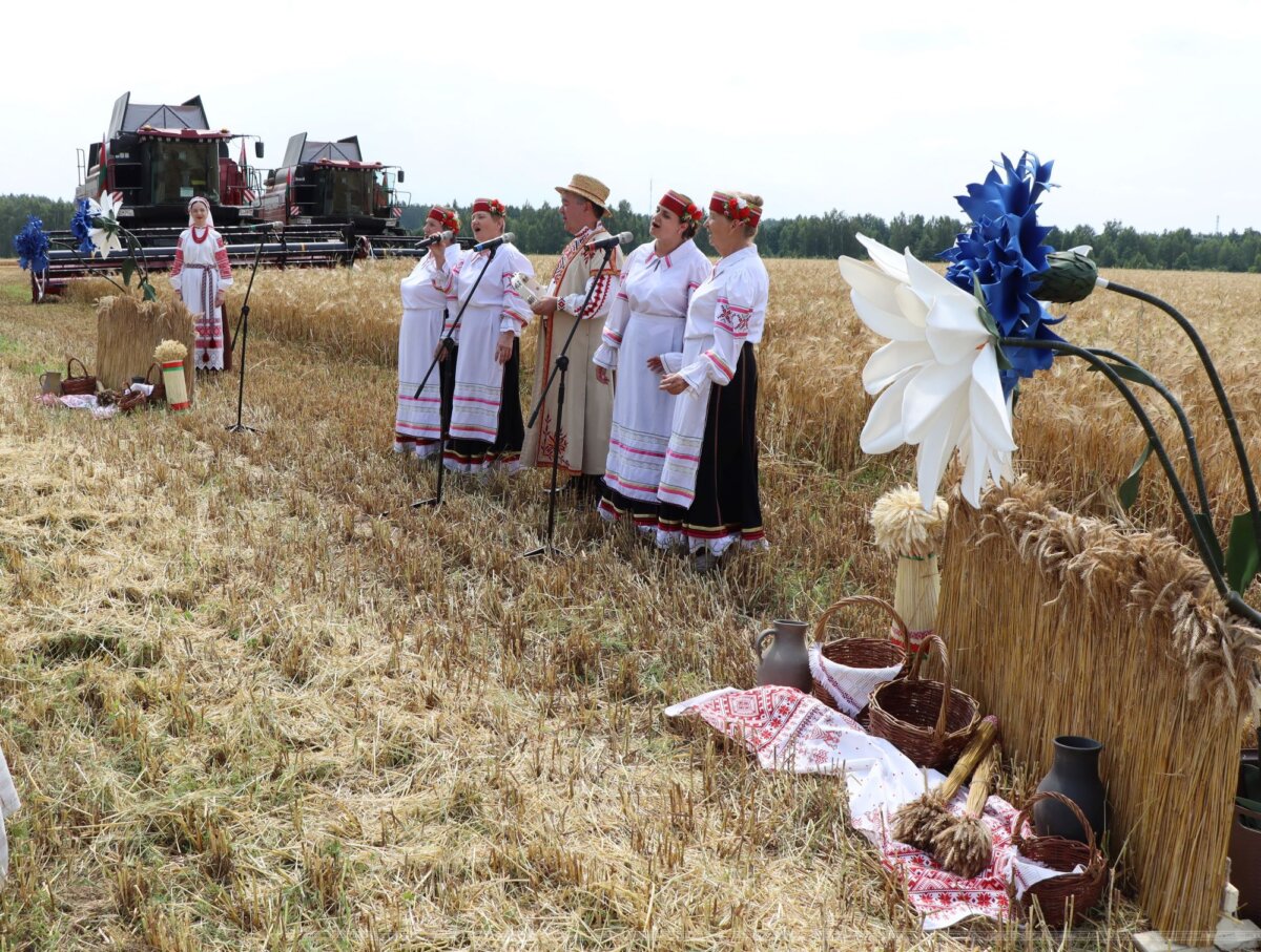 У чацвер у Асіповіцкім раёне прайшлі “Зажынкі”