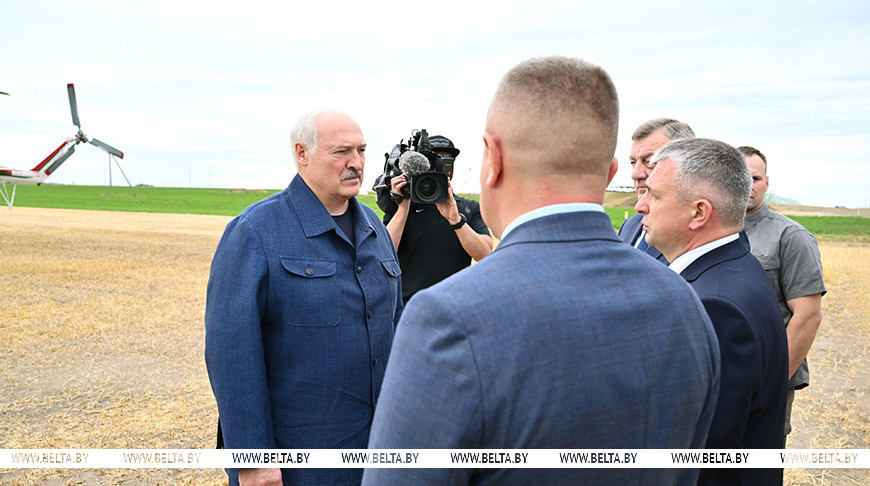 «Теряем огромное количество земель». Лукашенко поручил подумать над техникой для кошения пойм рек