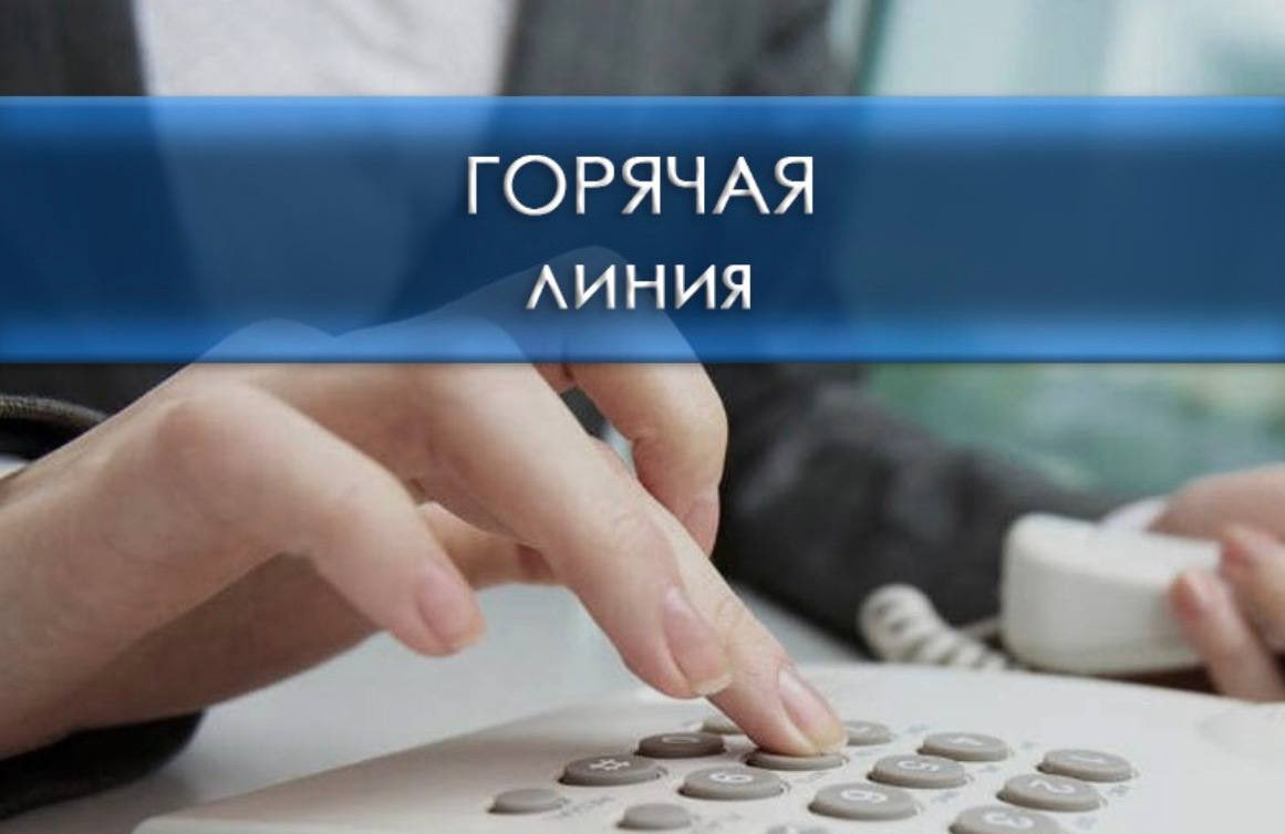 Тематическая горячая линия по вопросу подготовки детей к школе