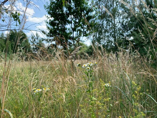 До +26°C днем, «ночные заморозки» до +9°C и дожди: прогноз погоды на неделю с 17 по 23 августа